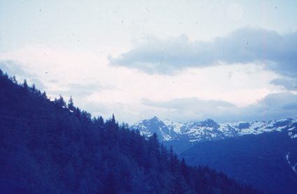 01-02_1975.06-Virgental-1-Alm-425